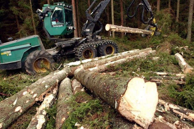 <em>Illustrationsfoto</em>