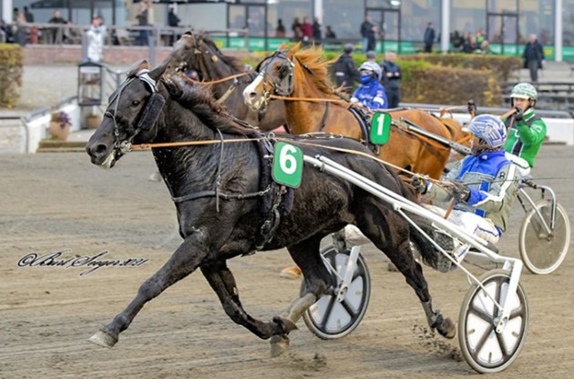 <em>Cash Wave og Bjarke Haagensen vandt 50.000 kr. Foto: Burt Seeger</em>