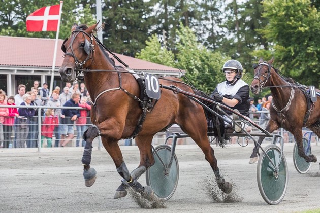 <em>Arkivfoto: Torben Ager / Travfoto Bornholm</em>