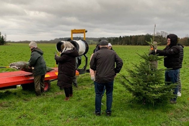<em>Koldt og v�dt, men juletr�et skulle traditionen tror hentes hjem....</em>