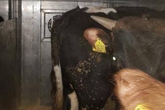 <em>Foto: Bornholms Politi</em>