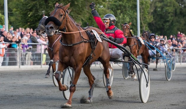 <em>Pietra I vandt Hoppemesterskabet tre �r i tr�k. Alle tre gange med opdr�tteren, Henrik Ipsen i sulkyen. Arkivfoto: Torben Ager / Travfoto Bornholm</em>