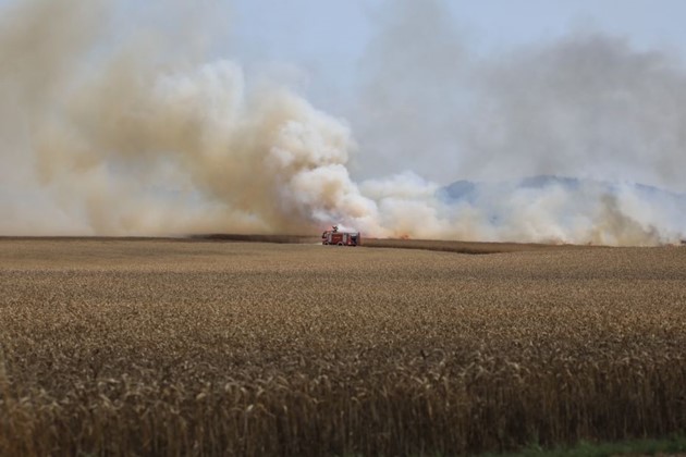 <em>Foto: Presse-fotos.dk</em>
