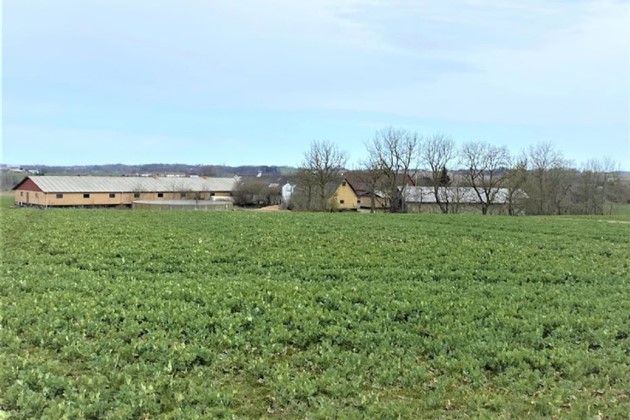 <em>Foto: R�nne Ejendomshandel</em>