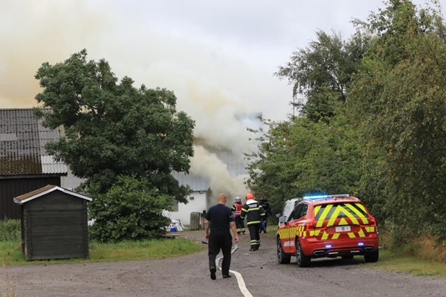 <em>Foto: Presse-fotos.dk</em>