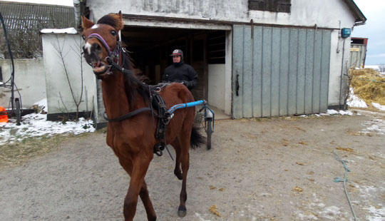 Se, hvad jeg har l�rt