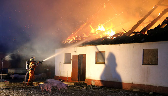 Halogenlamper startede brand