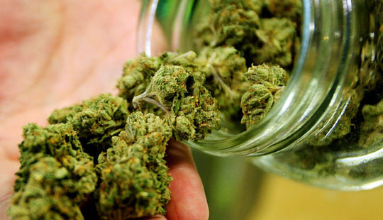 Narko afsl�ret ved tilf�ldighed