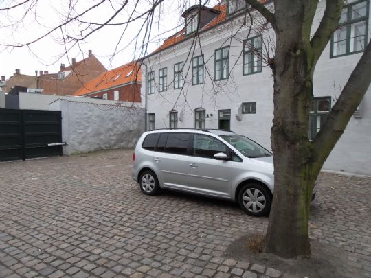 Truede offer med gaspistol