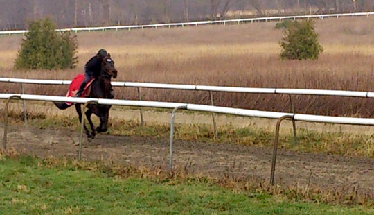 Annika M. Hansen gjorde indtryk