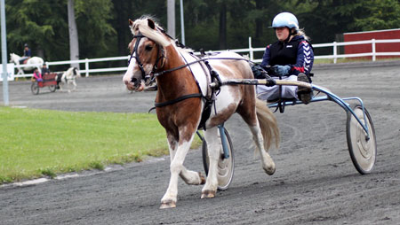 Nye ponykuske p� skole
