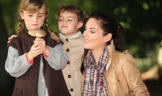 Svampetur for familier