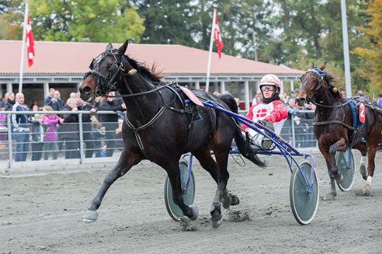 Mads Petersen overraskede