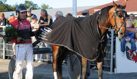 Sejrshest har forladt jorden