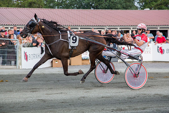 Mads Petersen i styrt i Aalborg