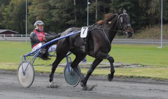 Flot betaling til Stopsigns First