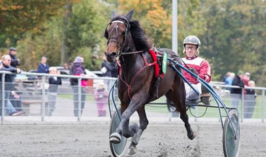 Forrygende l�b af Cosmopolitan