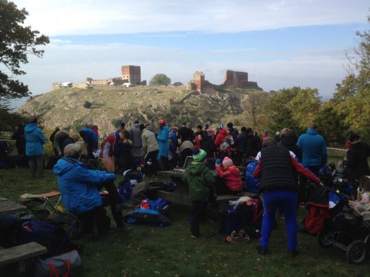 Succes for H�st-Open