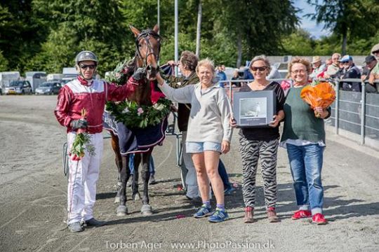Bornholmerhest hasteindlagt