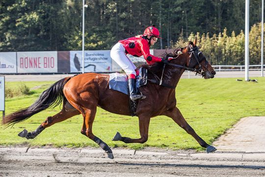 Debutsejr i mont�l�bet