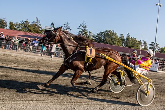 Stor overraskelse i unghestefinale