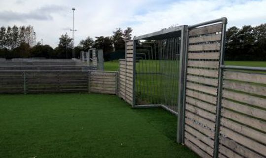 BSE beg�res konkurs