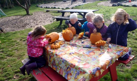 Gr�skarlygter til havfrue