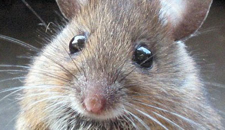 Naturvejleder s�ger tilskud