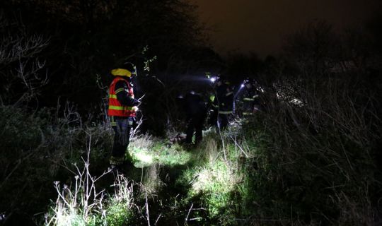 Hund sad fast i krat