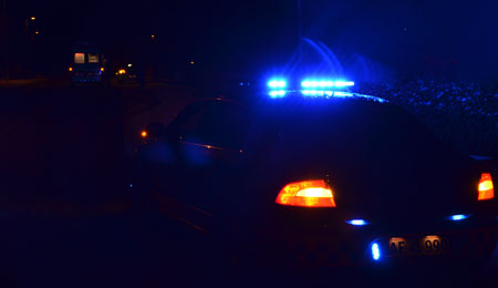 Ung bilist k�rte vildt