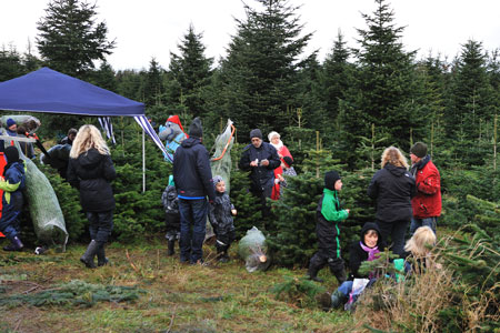 Sydbank fastholder juletradition