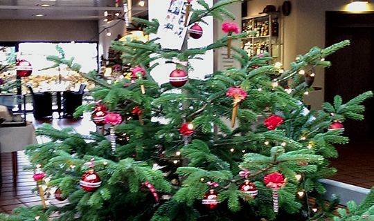 Rederi s�lger hotelophold