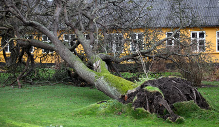 DMI: Vindst�d af orkanstyrke