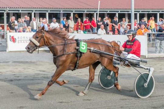 Ingen juleferie til Pietra I