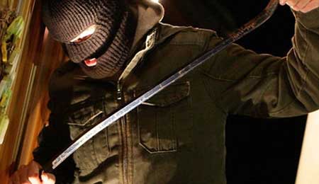 F� indbrud i fritidshuse