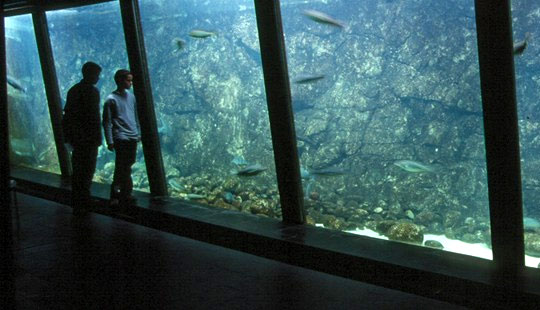 Udstilling om �sters�en