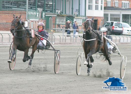 Plus og minus for bornholmerheste