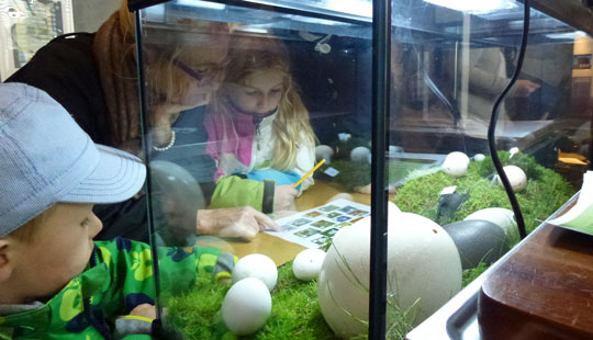 450 g�stede NaturBornholm