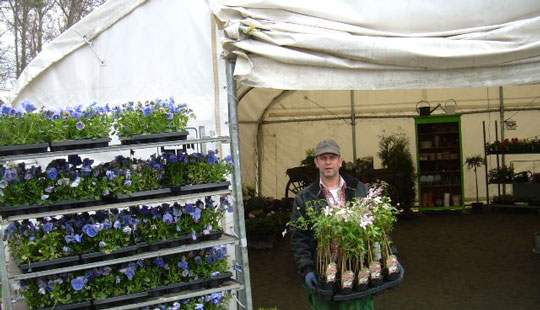 Strabo udvider med k�mpetelt