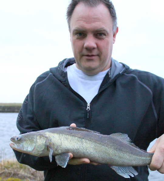 Store �rreder i Stenbrudss�en