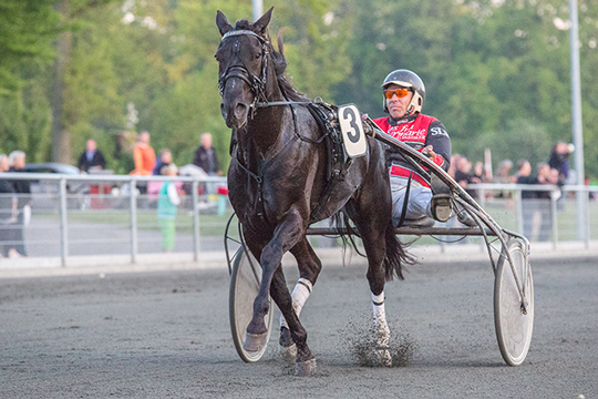 Feststemning p� travbanen