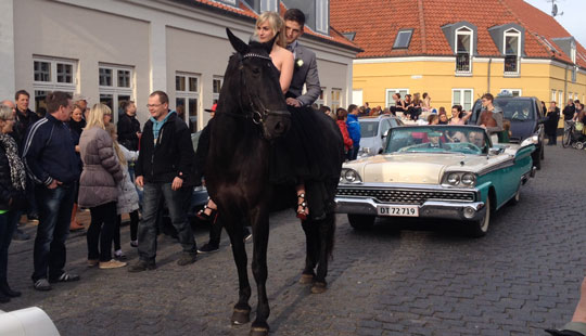 Prinsen p� den sorte hest