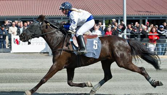 Annika skal ride Ramu
