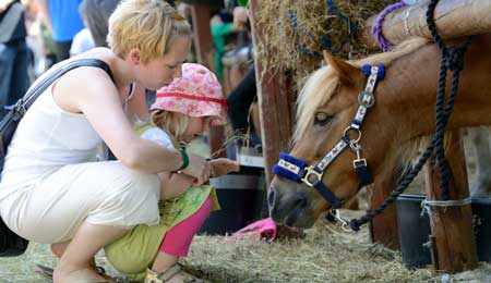 B�rnedyrskue mangler dyr