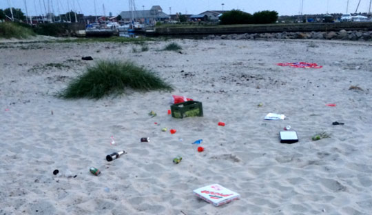 Unge sviner p� N�rrekaas