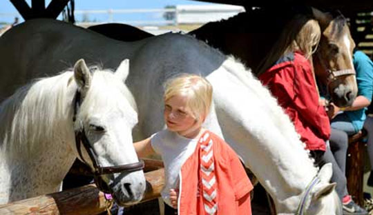 Familiefest i Harel�kkerne