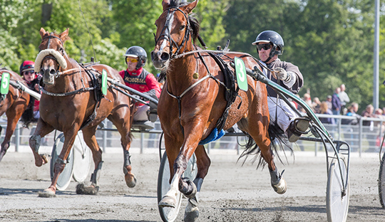 Ohio Speed en sejrsmaskine
