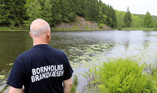 D�de fisk i Borgedals�en