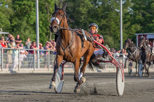 Travsejr til debutant