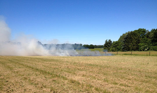 Gnist ant�ndte t�r gr�smark